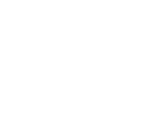 Anari