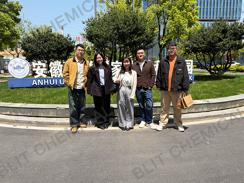 buy labsa96% cas 27176-87-0 from china factory blit chemical