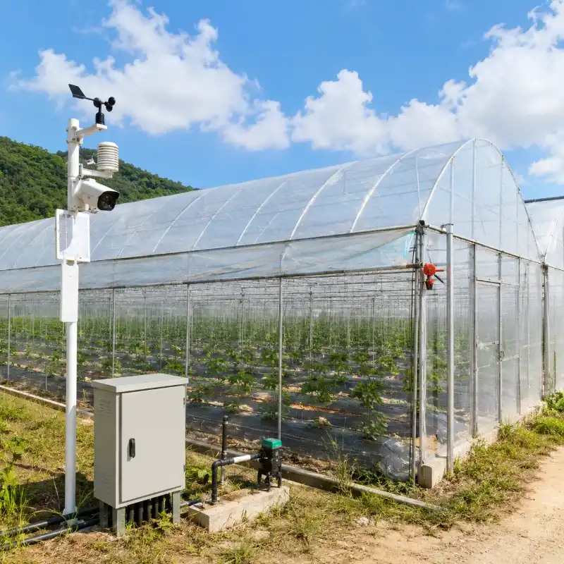 Smart Lychee Orchard Greenhouse Management Project in Bac Giang Vietnam