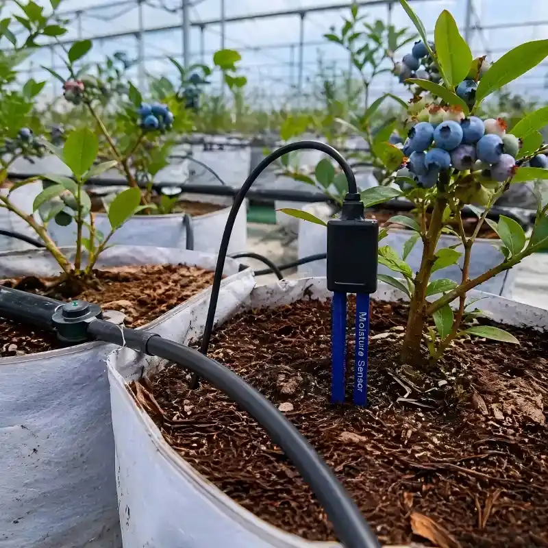 IP68 substrate moisture probe for potted plants