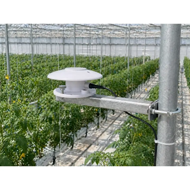 Quantum sensor for photosynthesis research applications