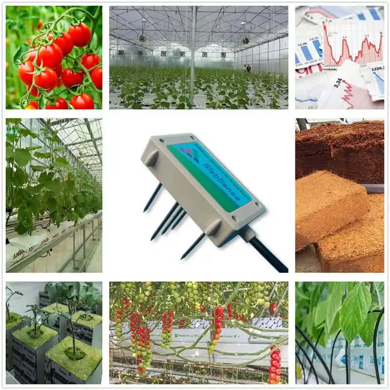 SDI12 substrate EC temperature sensor for hydroponics