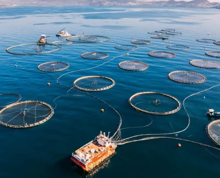 Aquaculture Projects