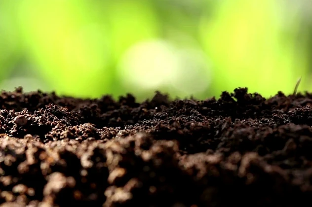 Soil Monitoring System