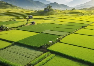 JW-IoT Is A Professional Iot Solution Provider …