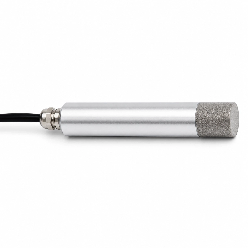 H2S Gas Sensor RS485 & 4-20mA for Continuous Monitoring