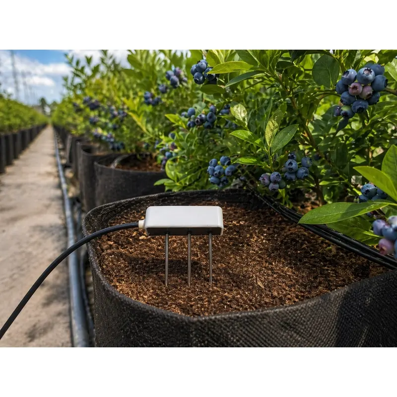 Soil Moisture Temperature Sensor