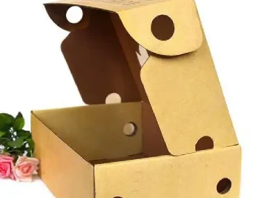 Special shaped carton