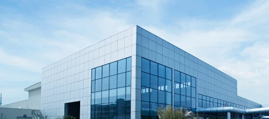 Over 20 Years Of Professional Experience, With In-Depth Knowledge Of The Cardboard