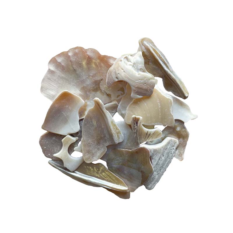 Crushed Shell Mother of Pearl 20-50mm