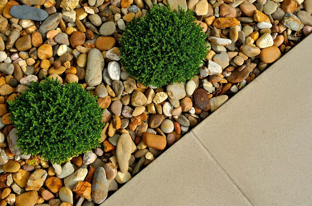 A well-designed garden is shaped by more than plants, furniture, and lighting. Ground-level materials also play an important role in defining the appearance and structure of an outdoor space. The right decorative pebbles can create clearer boundaries, add natural texture, and give gardens, courtyards, and commercial landscapes a more finished appearance. Landscape Pebbles 1