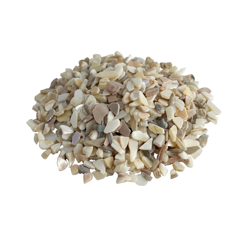 mother of pearl Manufacturer