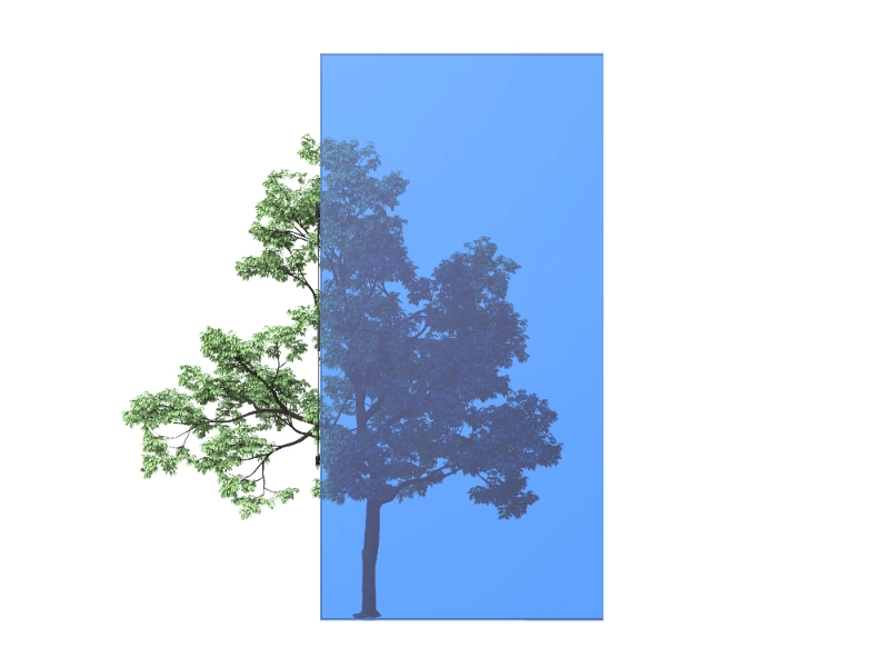 斑斓 337 WH 800x600px