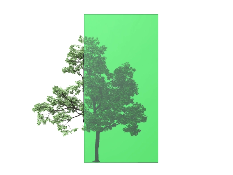 斑斓 338 WH 800x600px