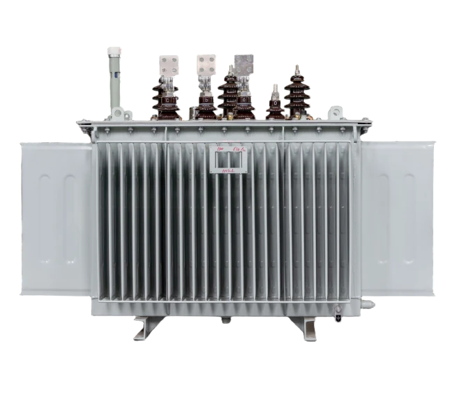 Oil-immersed Transformer(示例)