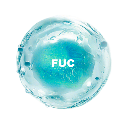 L-Fucose CAS 2438-80-4