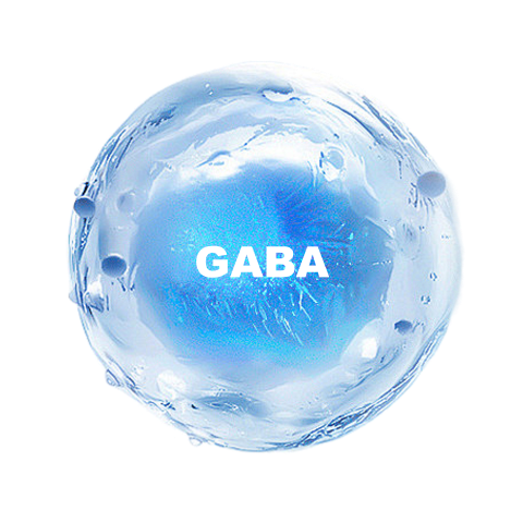 γ-Aminobutyric acid (GABA)