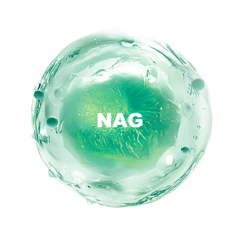 N-Acetyl-D-Glucosamine(NAG)