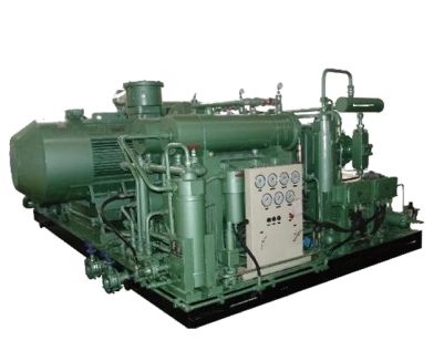 Biogas compressor