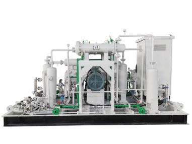 DW-2.2／25 Special gas compressor