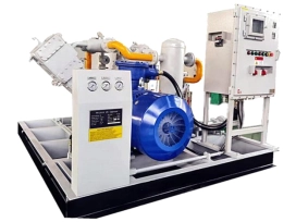 VW-4／10-16 LPG compresso