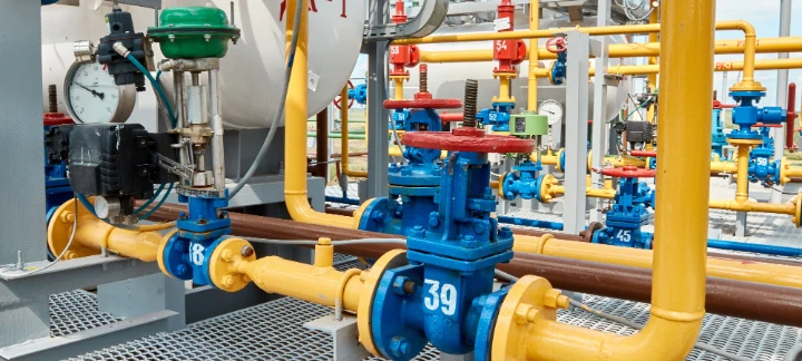 Tang Guangting, Director of the Economic Development …