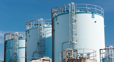 Industry Case Name Display