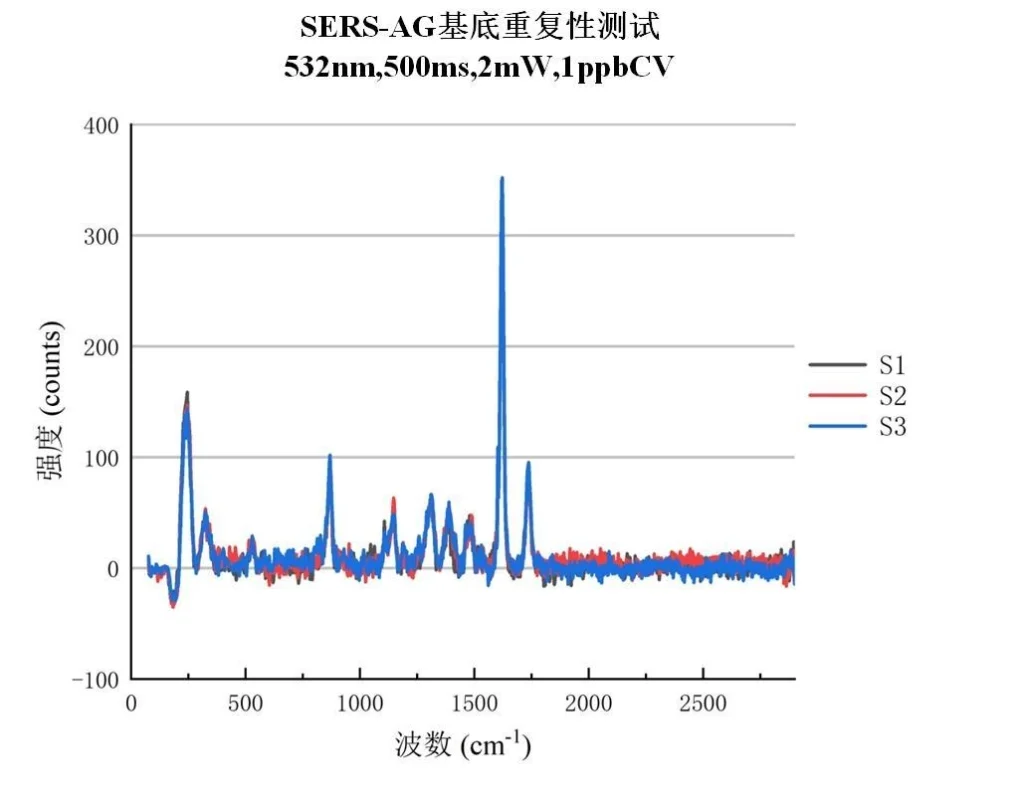 SERS-AG (2)