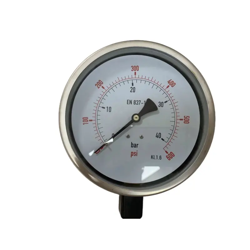 Stainless Steel shock-resistant Pressure Gauge