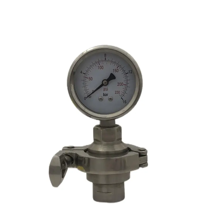Sanitary Diaphragm Seal Pressure Gauge