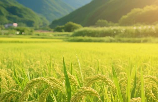 Why do crops need to add raw materials?