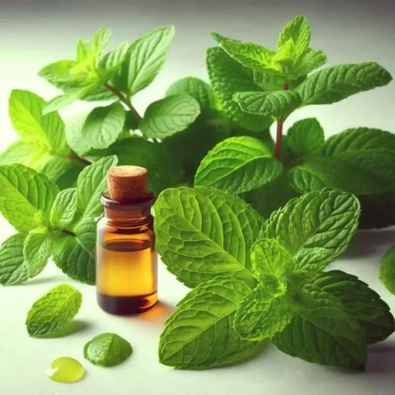 Peppermint oil