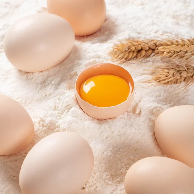 Egg
