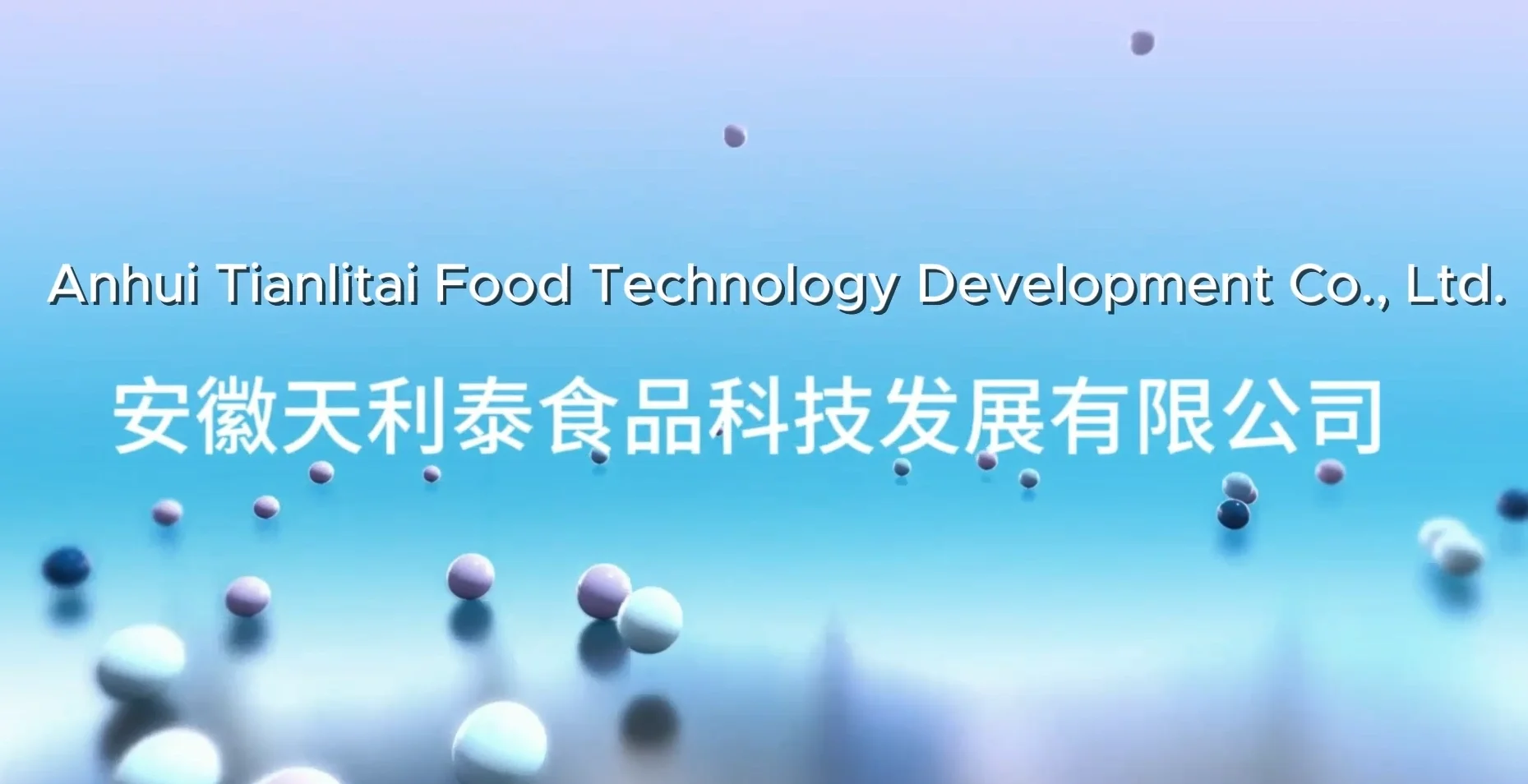Company Profile