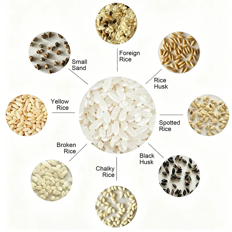 Arroz de grano largo limpio y de calidad central rodeado de diversas impurezas y granos defectuosos que pueden ser eliminados por la clasificadora de color de arroz de 8 tolvas APEX serie R, incluyendo arena pequeña, arroz extraño, cáscara de arroz, arroz manchado, cáscara negra, arroz calcáreo, arroz partido y arroz amarillo.