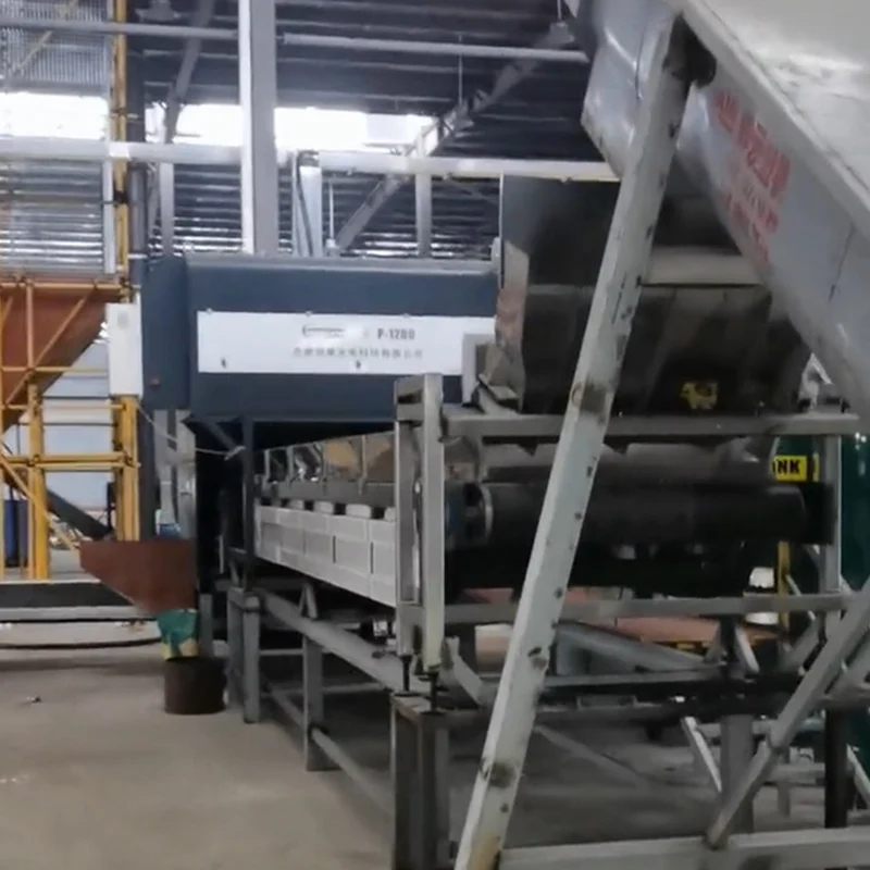 installation site of APEX Conveyor belt food-grade NIR rPET whole bottle sorting system