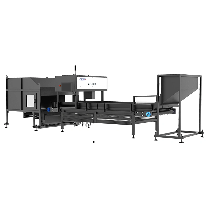 APEX Conveyor belt food-grade NIR rPET whole bottle sorting system