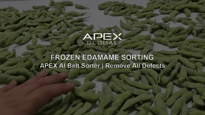 APEX AI optical belt sorter for frozen edamame sorting, removing impurities and defective pods for low-temperature wet frozen vegetable production line