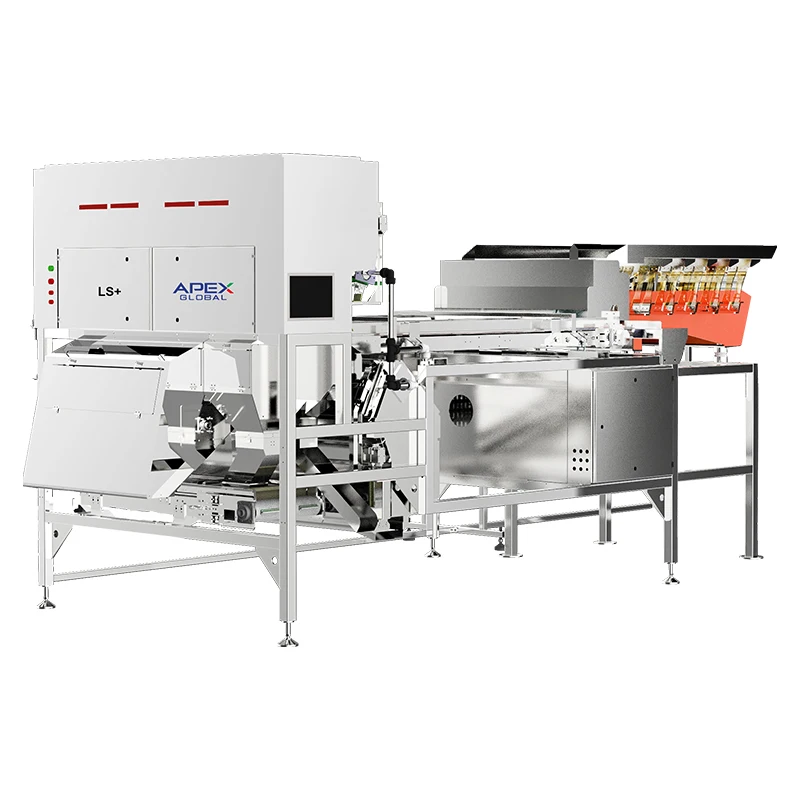 Official 3D structural rendering of APEX LS+ dual-view infrared belt nut sorting machine. Equipped with sealed optical detection cabin, touch human-machine interface, oil-proof flexible conveyor belt, feeding assembly and high-speed jet nozzle unit. This model upgrades from standard LS single infrared to dual-view omnidirectional infrared scanning, retains the core lossless conveying design to reduce nut kernel breakage, and eliminates detection blind spots caused by stacked and irregular nuts for medium & large nut processing production lines.