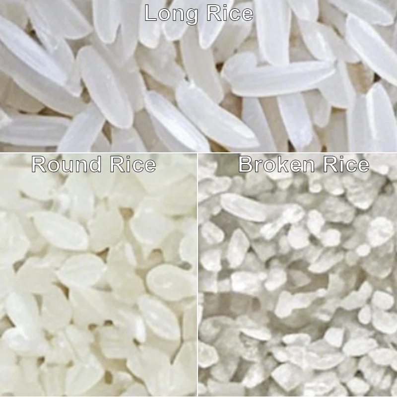 Grain morphology comparison chart of long grain rice, round grain rice and broken rice; APEX R4 Pro Max flagship rice sorter achieves precise shape classification and automatic separation of intact rice grains and broken fragments for export-grade rice processing