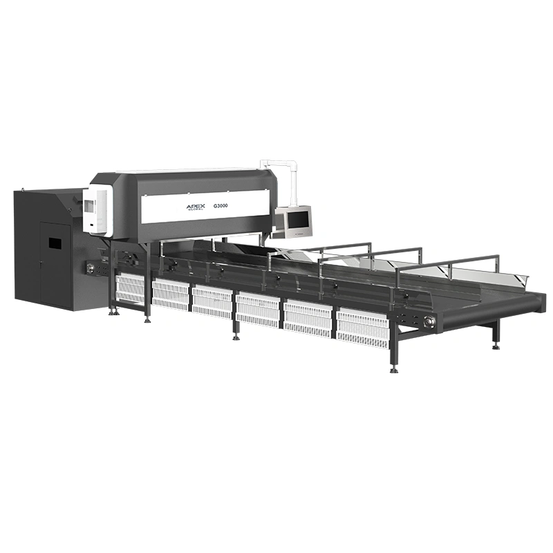 APEX baled PET whole bottle sorting machine for recycling line