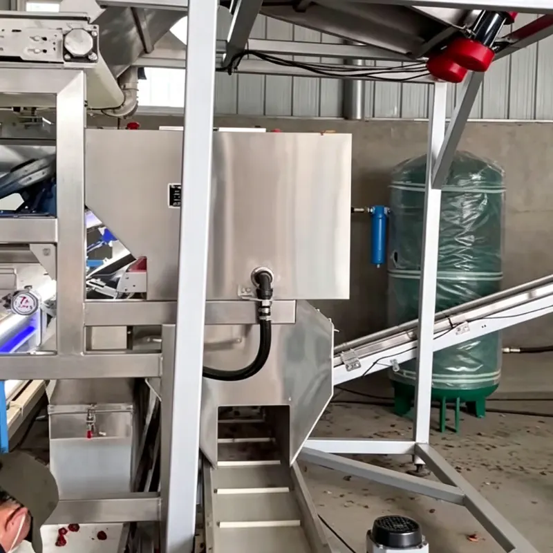 Foto da instalação do classificador de correia dupla APEX DL na oficina de processamento, mostrando a cavidade de classificação em aço inoxidável, o módulo de detecção de luz, o canal de descarga e o tanque de armazenamento de ar correspondente. Reflete o estado real de montagem do equipamento na linha de produção de matéria-prima medicinal a granel.