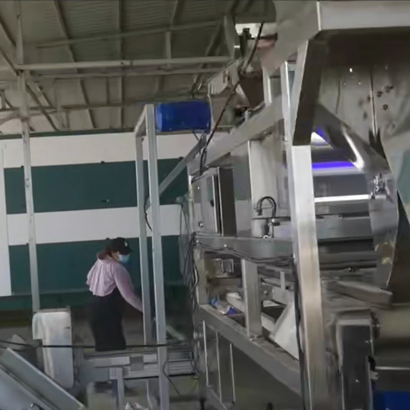 Cena real da máquina de triagem de correia dupla DL em funcionamento dentro da oficina da fábrica. Os funcionários realizam inspeções de rotina no equipamento; a estrutura selada de detecção óptica de dupla camada completa de forma estável a triagem contínua de grandes quantidades de matéria-prima vegetal para as linhas de processamento industrial.