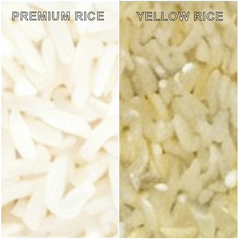 Comparison image of high-quality pure white premium rice and deteriorated yellow rice grains, the typical defective grain removed precisely by APEX R8 Max industrial rice color sorter