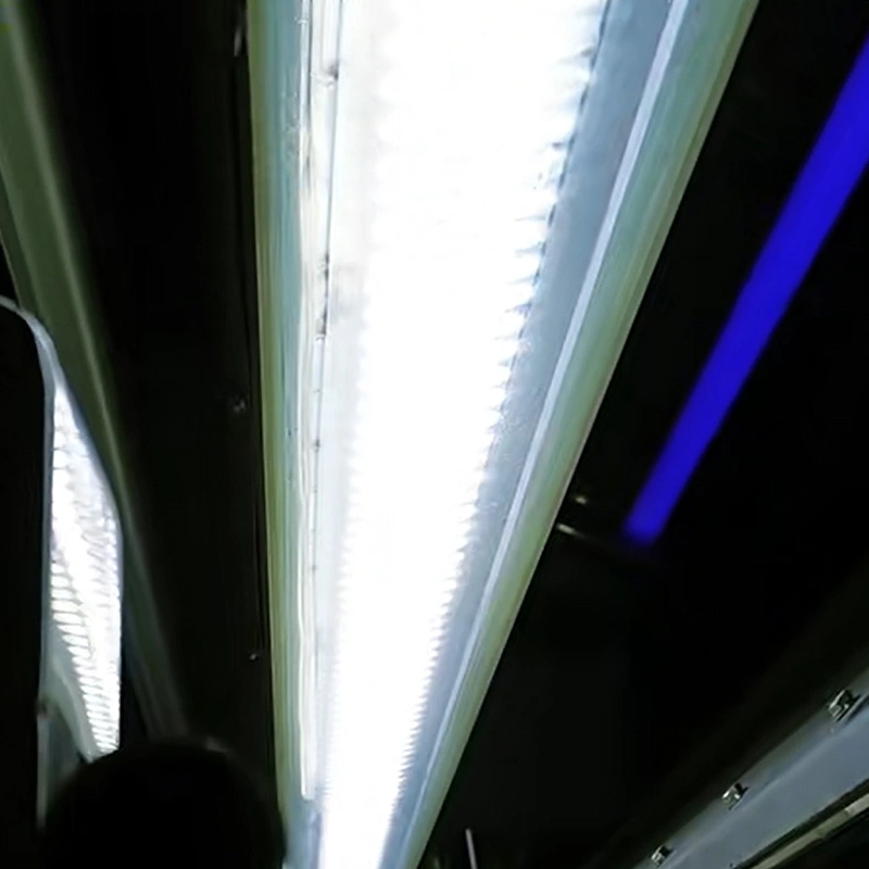 Trieuse de couleurs à bande KSL1600-2S : source lumineuse externe indépendante et module de détection CCD haute définition intégrés