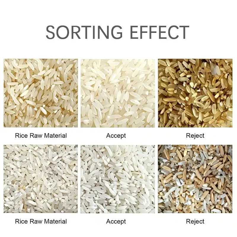 Actual sorting effect comparison chart of APEX R4 Pro rice sorter, showing original mixed raw rice, purified qualified accepted rice and fully separated defective rejected rice
