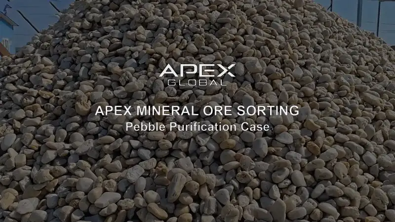 Pebble Purification Sorting Case Photo Cover