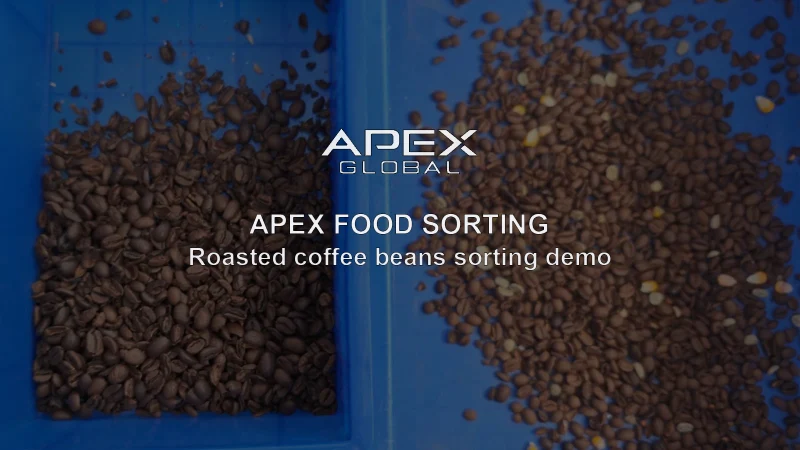 Seleção de grãos de café torrados APEX | Remoção de impurezas de grãos verdes e milho