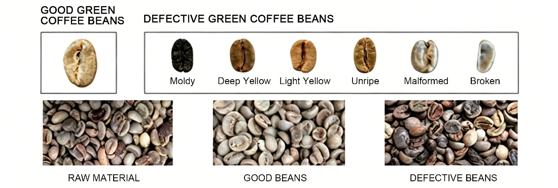 Performance comparison chart for green coffee bean color sorting, showing good beans and defective beans including moldy, yellow, unripe, malformed and broken green coffee beans