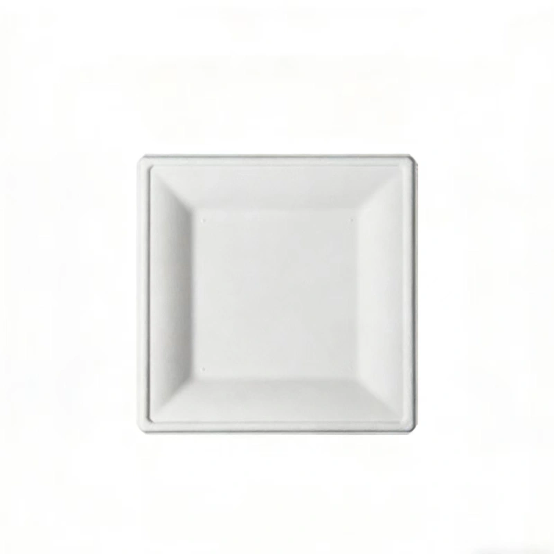disposable bagasse square plate1